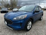 Used 2022 Ford Escape SE image 4