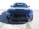 New 2025 Ford Mustang GT Premium image 3