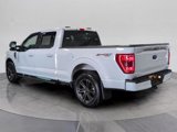 Certified 2022 Ford F150 XLT w/ Equipment Group 302A High image 3