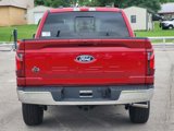 New 2025 Ford F150 XLT image 4