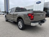 New 2025 Ford F150 XLT w/ Equipment Group 302A MID image 5