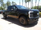 New 2025 Ford F250 XL image 6