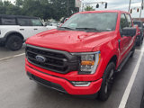 Certified 2022 Ford F150 XLT w/ Equipment Group 302A High image 2