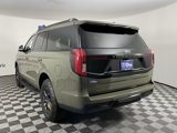 New 2025 Ford Expedition Tremor image 5