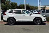 New 2026 Honda CR-V EX-L image 3