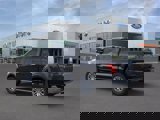 New 2025 Ford F150 XLT w/ Equipment Group 302A MID image 4