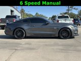 Used 2016 Ford Mustang GT Premium w/ Enhanced Security Package image 2