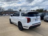 New 2025 Hyundai Palisade Calligraphy image 4