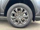 Used 2024 Toyota RAV4 XLE Premium image 4