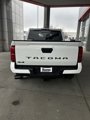 New 2025 Toyota Tacoma TRD Off-Road image 4