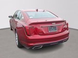 Used 2023 Cadillac CT5 Luxury w/ Sun And Sound Package image 4