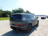 New 2025 Hyundai Santa Fe Calligraphy image 5