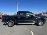 New 2025 Ford F150 XLT w/ Equipment Group 301A Standard image 2