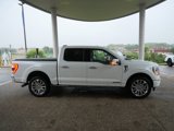 Certified 2022 Ford F150 Limited image 4