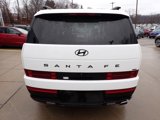 New 2025 Hyundai Santa Fe Calligraphy image 3