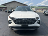 Used 2023 Hyundai Tucson Limited image 4
