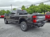 New 2025 Ford F250 Platinum image 5