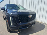New 2025 Cadillac Escalade Sport Platinum w/ LPO, ONYX Package image 5