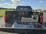 New 2024 Ford F150 XLT w/ Equipment Group 302A MID image 5