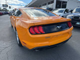 Used 2019 Ford Mustang Coupe image 3