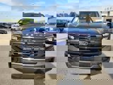 New 2025 Ford Expedition Max Active image 2