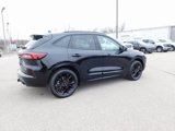New 2025 Ford Escape ST-Line Elite w/ Premium Technology Package image 3