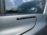 New 2025 Ford F150 XLT w/ Equipment Group 303A High image 6
