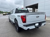 New 2025 Ford F150 XLT image 3