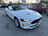 Used 2018 Ford Mustang GT Premium w/ Equipment Group 401A image 5
