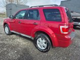 Used 2009 Ford Escape XLT image 6