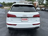 Used 2022 Audi Q5 2.0T Premium Plus w/ Premium Plus Package image 4