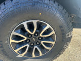 Used 2013 Ford F150 Raptor w/ Luxury Equipment Group image 6
