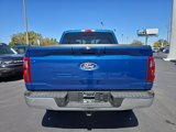 New 2025 Ford F150 XLT w/ Equipment Group 303A High image 5