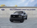 New 2025 Ford F150 XLT image 2