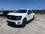 New 2025 Ford F150 XLT image 5