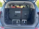 New 2026 Kia Carnival SX image 6