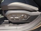 New 2025 Hyundai Santa Fe Calligraphy image 4