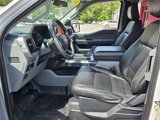 Used 2022 Ford F150 XL w/ Equipment Group 101A High image 4