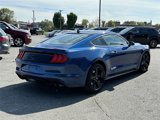 Used 2023 Ford Mustang GT w/ Mustang Nite Pony Package image 4