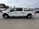 Used 2023 Ford F150 XLT image 6