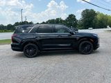 New 2025 Hyundai Palisade Calligraphy image 2