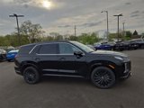 New 2025 Hyundai Palisade Calligraphy image 5