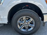 New 2025 Ford F150 XLT w/ Equipment Group 302A MID image 3
