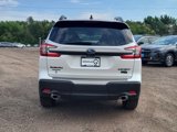 New 2025 Subaru Ascent Bronze Edition image 5