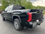 New 2025 Toyota Tundra 1794 Edition image 5