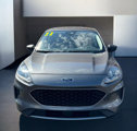 Used 2022 Ford Escape SE image 6