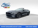 Used 2023 Ford Mustang GT Premium w/ Equipment Group 401A image 1