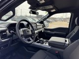 New 2025 Ford F150 XLT w/ Equipment Group 302A MID image 4