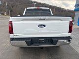 New 2025 Ford F150 XLT w/ Equipment Group 302A MID image 6