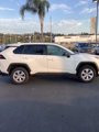 Used 2024 Toyota RAV4 LE image 6